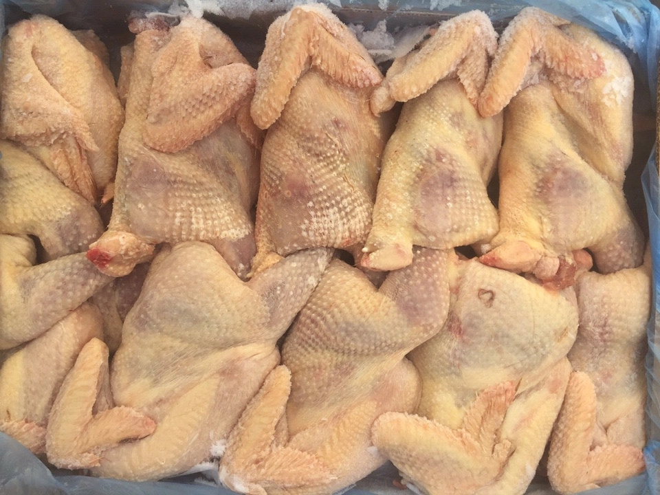 Gà nguyên con đông lạnh nhập khẩu