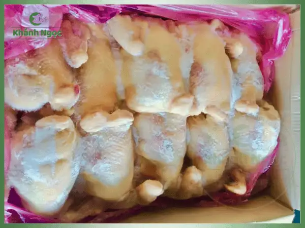 Gà Dai Hàn Quốc Đông Lạnh Giá Sỉ (Singreen/HanRyeo) - Dai Giòn Như Gà Ta Chuyên Quán Phở, Gỏi