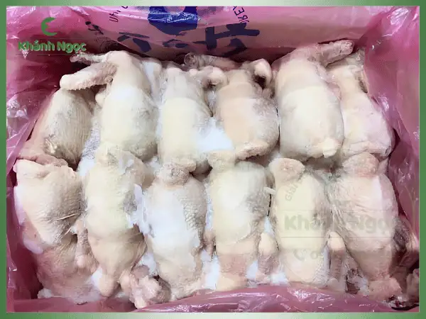 Gà Dai Hàn Quốc Đông Lạnh Giá Sỉ (Singreen/HanRyeo) - Dai Giòn Như Gà Ta Chuyên Quán Phở, Gỏi - Ảnh 2