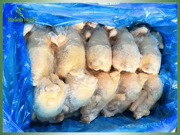 Gà Dai Hàn Quốc Đông Lạnh Giá Sỉ (Singreen/HanRyeo) - Dai Giòn Như Gà Ta Chuyên Quán Phở, Gỏi - Ảnh 4