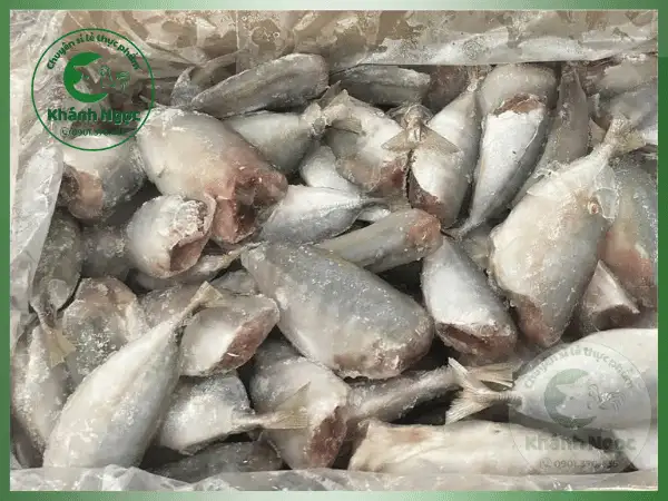 Cá Bạc Má Đông Lạnh Giá Sỉ - Thịt Dày, Chắc Ngọt Cho Quán Cơm, Bếp Công Nghiệp