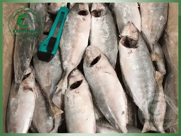 Cá Ngân Đông Lạnh Giá Sỉ - Thịt Trắng, Săn Chắc Tối Ưu Chi Phí Bếp Công Nghiệp, Quán Cơm