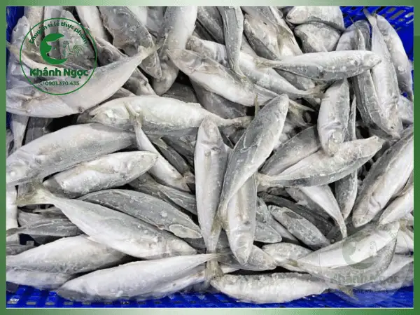 Cá Nục Đông Lạnh Giá Sỉ - Thịt Săn Chắc, Tối Ưu Chi Phí Cho Quán Cơm, Bếp Công Nghiệp