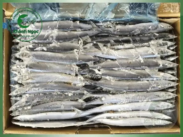 Cá Thu Đao Đông Lạnh Giá Sỉ (Cá Sanma) - Thịt Béo Ngậy Cho Quán Nhậu, Nhà Hàng Nhật