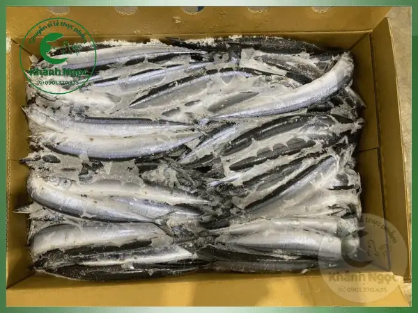 Cá Thu Đao Đông Lạnh Giá Sỉ (Cá Sanma) - Thịt Béo Ngậy Cho Quán Nhậu, Nhà Hàng Nhật - Ảnh 2