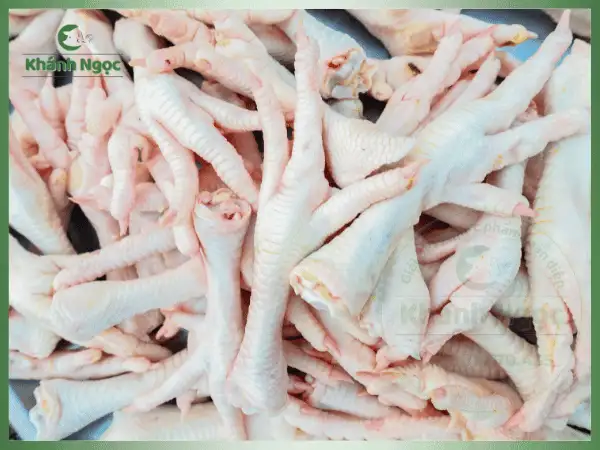 Chân Gà Tươi Giá Sỉ - Đa Dạng Size, Hỗ Trợ Lựa Theo Yêu Cầu Quán Nhậu, Nhà Hàng