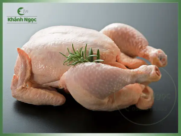 Gà Tam Hoàng Tươi Nguyên Con Giá Sỉ - Da Vàng Ươm, Thịt Chắc Ngọt Cho Nhà Hàng, Quán Cơm